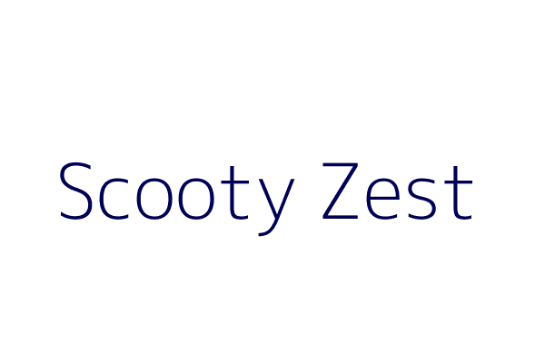 Scooty Zest
